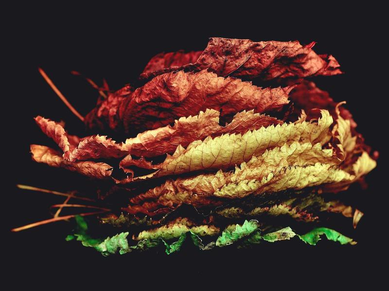 舌尖上的故乡<br>kclfxfu.cn 妈妈味道复刻